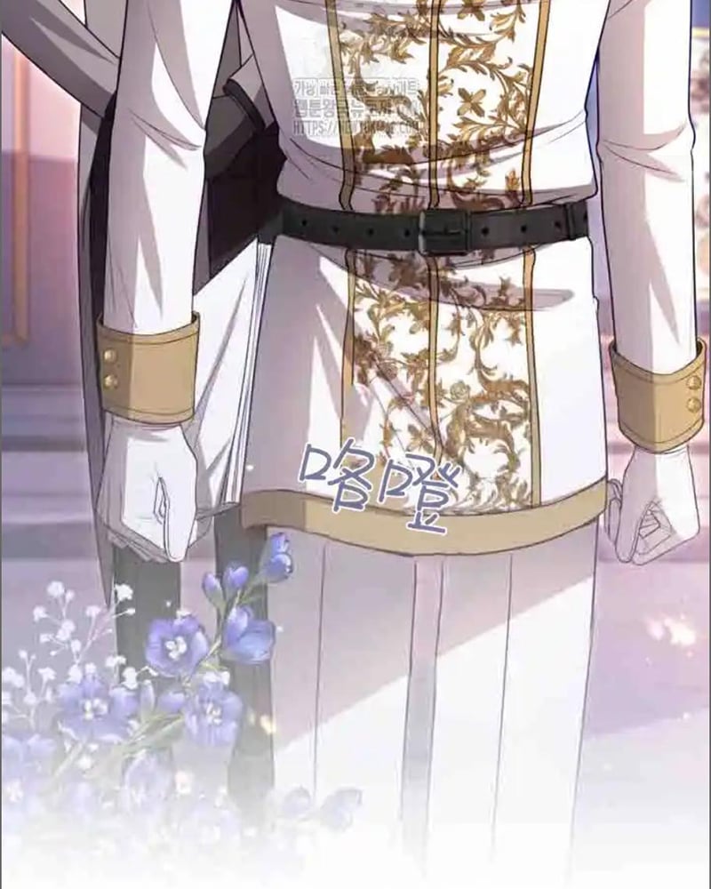 Tôi Sẽ Bị Trừ Khử Cùng Hoàng Đế Chapter 151 - 91